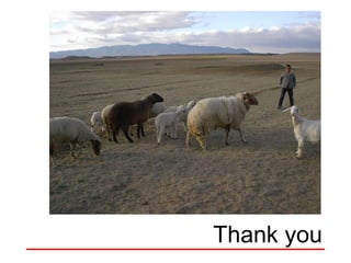 Getting started in the AI system: Rams selection and management