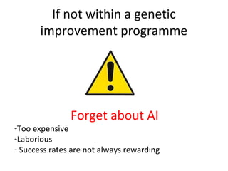 Getting started in the AI system: Rams selection and management