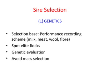 Getting started in the AI system: Rams selection and management