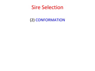 Getting started in the AI system: Rams selection and management