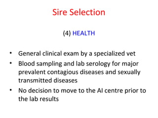 Getting started in the AI system: Rams selection and management