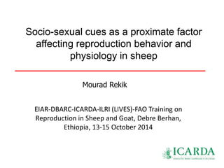 Socio-sexual cues as a proximate factor 
affecting reproduction behavior and 
physiology in sheep 
Mourad Rekik 
EIAR-DBARC-ICARDA-ILRI (LIVES)-FAO Training on 
Reproduction in Sheep and Goat, Debre Berhan, 
Ethiopia, 13-15 October 2014 
 