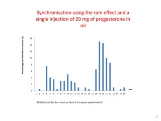 Socio-sexual cues as a proximate factor affecting reproduction behavior and physiology in sheep