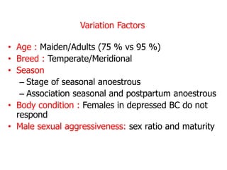 Socio-sexual cues as a proximate factor affecting reproduction behavior and physiology in sheep