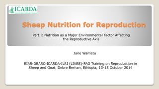 Sheep Nutrition for Reproduction 
Part I: Nutrition as a Major Environmental Factor Affecting 
the Reproductive Axis 
Jane Wamatu 
EIAR-DBARC-ICARDA-ILRI (LIVES)-FAO Training on Reproduction in 
Sheep and Goat, Debre Berhan, Ethiopia, 13-15 October 2014 
J. Wamatu 
 