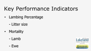 Key Performance Indicators
• Lambing Percentage
- Litter size
• Mortality
- Lamb
- Ewe
 