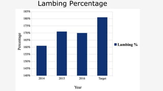 Lambing Percentage
 