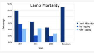 Lamb Mortality
 