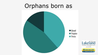 Orphans born as
 