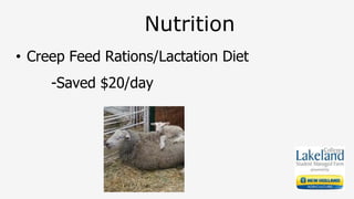 Nutrition
• Creep Feed Rations/Lactation Diet
-Saved $20/day
 