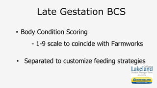 Late Gestation BCS
• Body Condition Scoring
- 1-9 scale to coincide with Farmworks
• Separated to customize feeding strategies
 