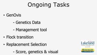 Ongoing Tasks
• GenOvis
- Genetics Data
- Management tool
• Flock transition
• Replacement Selection
- Score, genetics & visual
 