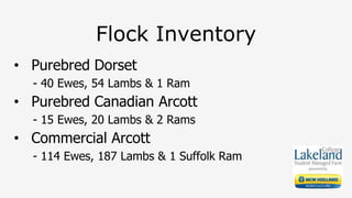 Flock Inventory
• Purebred Dorset
- 40 Ewes, 54 Lambs & 1 Ram
• Purebred Canadian Arcott
- 15 Ewes, 20 Lambs & 2 Rams
• Commercial Arcott
- 114 Ewes, 187 Lambs & 1 Suffolk Ram
 