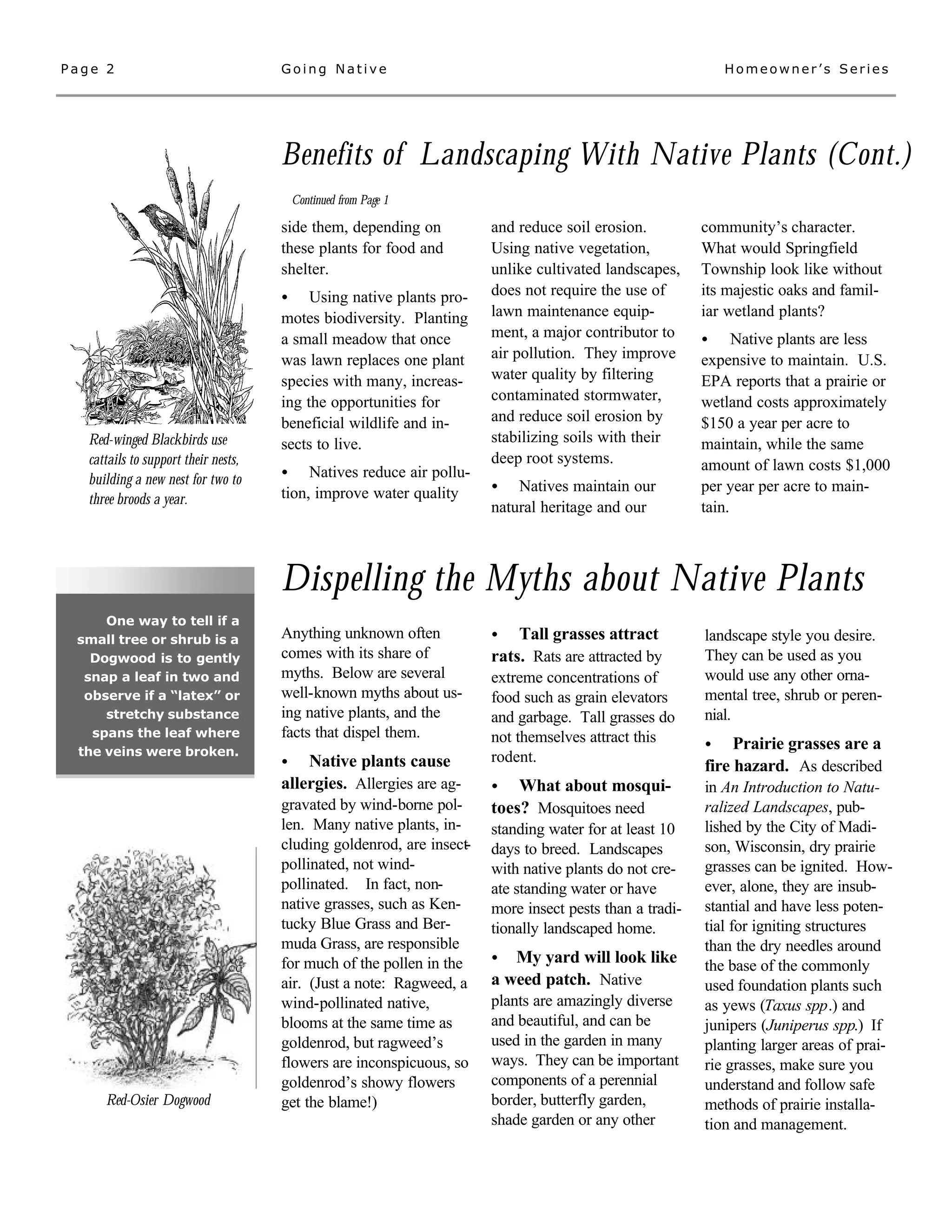 Page 2                                Going Native                                                           Homeowner’s Series




                                      Benefits of Landscaping With Native Plants (Cont.)
                                          Continued from Page 1

                                      side them, depending on          and reduce soil erosion.          community’s character.
                                      these plants for food and        Using native vegetation,          What would Springfield
                                      shelter.                         unlike cultivated landscapes,     Township look like without
                                      •    Using native plants pro-    does not require the use of       its majestic oaks and famil-
                                      motes biodiversity. Planting     lawn maintenance equip-           iar wetland plants?
                                      a small meadow that once         ment, a major contributor to      •     Native plants are less
                                      was lawn replaces one plant      air pollution. They improve       expensive to maintain. U.S.
                                      species with many, increas-      water quality by filtering        EPA reports that a prairie or
                                      ing the opportunities for        contaminated stormwater,          wetland costs approximately
                                      beneficial wildlife and in-      and reduce soil erosion by        $150 a year per acre to
   Red-winged Blackbirds use          sects to live.                   stabilizing soils with their      maintain, while the same
   cattails to support their nests,                                    deep root systems.                amount of lawn costs $1,000
   building a new nest for two to     •    Natives reduce air pollu-
                                      tion, improve water quality      •   Natives maintain our          per year per acre to main-
   three broods a year.
                                                                       natural heritage and our          tain.



                                      Dispelling the Myths about Native Plants
     One way to tell if a
 small tree or shrub is a             Anything unknown often           •   Tall grasses attract          landscape style you desire.
   Dogwood is to gently               comes with its share of          rats. Rats are attracted by       They can be used as you
  snap a leaf in two and              myths. Below are several         extreme concentrations of         would use any other orna-
  observe if a “latex” or             well-known myths about us-       food such as grain elevators      mental tree, shrub or peren-
     stretchy substance               ing native plants, and the       and garbage. Tall grasses do      nial.
   spans the leaf where               facts that dispel them.          not themselves attract this
 the veins were broken.
                                                                                                         •    Prairie grasses are a
                                      •   Native plants cause          rodent.
                                                                                                         fire hazard. As described
                                      allergies. Allergies are ag-     •   What about mosqui-            in An Introduction to Natu-
                                      gravated by wind-borne pol-      toes? Mosquitoes need             ralized Landscapes, pub-
                                      len. Many native plants, in-     standing water for at least 10    lished by the City of Madi-
                                      cluding goldenrod, are insect-   days to breed. Landscapes         son, Wisconsin, dry prairie
                                      pollinated, not wind-            with native plants do not cre-    grasses can be ignited. How-
                                      pollinated. In fact, non-        ate standing water or have        ever, alone, they are insub-
                                      native grasses, such as Ken-     more insect pests than a tradi-   stantial and have less poten-
                                      tucky Blue Grass and Ber-        tionally landscaped home.         tial for igniting structures
                                      muda Grass, are responsible                                        than the dry needles around
                                      for much of the pollen in the    •  My yard will look like         the base of the commonly
                                      air. (Just a note: Ragweed, a    a weed patch. Native              used foundation plants such
                                      wind-pollinated native,          plants are amazingly diverse      as yews (Taxus spp.) and
                                      blooms at the same time as       and beautiful, and can be         junipers (Juniperus spp.) If
                                      goldenrod, but ragweed’s         used in the garden in many        planting larger areas of prai-
                                      flowers are inconspicuous, so    ways. They can be important       rie grasses, make sure you
                                      goldenrod’s showy flowers        components of a perennial         understand and follow safe
      Red-Osier Dogwood               get the blame!)                  border, butterfly garden,         methods of prairie installa-
                                                                       shade garden or any other         tion and management.
 