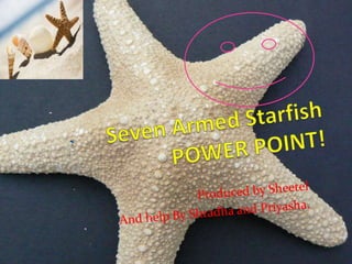Seven Armed Starfish POWER POINT! Produced by Sheetel And help By Shradha and Priyasha. 
