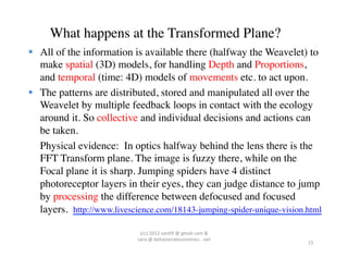 What happens at the Transformed Plane?	

  All of the information is available there (halfway the Weavelet) to
      make spatial (3D) models, for handling Depth and Proportions,
      and temporal (time: 4D) models of movements etc. to act upon.	

  The patterns are distributed, stored and manipulated all over the
      Weavelet by multiple feedback loops in contact with the ecology
      around it. So collective and individual decisions and actions can
      be taken.	

   	

Physical evidence: In optics halfway behind the lens there is the
      FFT Transform plane. The image is fuzzy there, while on the
      Focal plane it is sharp. Jumping spiders have 4 distinct
      photoreceptor layers in their eyes, they can judge distance to jump
      by processing the difference between defocused and focused
      layers. http://www.livescience.com/18143-jumping-spider-unique-vision.html	

	

                            (cc)	
  2013	
  van,ll	
  @	
  gmail	
  com	
  &	
  	
  	
  
                              sara	
  @	
  behavioraleconomics	
  .	
  net	
  
                                                                                              15	
  
 