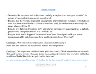 Future research	

	

  Weavelet-like structures and its functions can help to explain how “emergent behavior” in
   groups of massively interconnected animals work.	

  Imagine that the recently discovered underground interconnections by fungus wires between
   trees in a forest would lead to a collective mind and spirit, in combination with changes in
   genes (changes DNA) ??	

  It might give Telecom Operators, ISP’s and Internet network providers incentives to defend,
   preserve and strengthen Internet as a “Web of Life”.	

  Imagine what would happen if the users of InstaGram, PhotoSynth and Layar would
   interconnect APPs and clouds; and form a collective intelligent Weavelet?!	


Challenge 1. Will weavelet-like organization structures enable society to 	

create new jobs and work for middle class workers with unique skills?	

	

Challenge 2. We suspect that combinations of [pinecones, cacti, LOFAR array radio telescope math.,
Ben-Jacob bacteria growth, Fibonacci/ golden mean, galaxies] will show how weavelets will further
unfold into 3D,4D,5D spirals. Are galaxies life forms too?	

Lecture invitations and (any type of) funding for further research would be most appreciated.	

                                  (cc)	
  2013	
  van,ll	
  	
  @	
  gmail	
  	
  .	
  	
  com	
  &	
  	
  	
  
                                  sara	
  @	
  	
  behavioraleconomics	
  .	
  	
  net	
  
                                                                                                                  20	
  
 