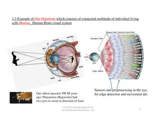 3.3 Example of One Organism which consists of connected multitude of individual living
cells Human, Human Brain visual system	





                                                                                                 Sensors and preprocessing in the eye,	

                Our oldest ancestor 500 M years 	

                                              for edge detection and movement det.	

                ago: Platynereis (Ragworm) had	

                two eyes to swim in direction of food 	

                                      (cc)	
  2013	
  van,ll	
  @	
  gmail	
  com	
  &	
  	
  	
  
                                     sara	
  @	
  behavioraleconomics	
  .	
  net	
                                              7	
  
 