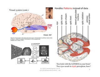 Handles	
  PaCerns	
  instead	
  of	
  data	
  
Visual system (cont.)	





                                                                           You look with the LENSES in your brain!	

                                                                           Two eyes result in depth perception, how?	

                            (cc)	
  2013	
  van,ll	
  @	
  gmail	
  com	
  &	
  	
  	
  
                                                                                                                        8	
  
                           sara	
  @	
  behavioraleconomics	
  .	
  net	
  
 