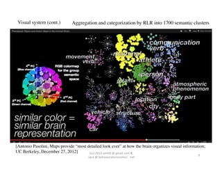 Visual system (cont.)	

      Aggregation and categorization by RLR into 1700 semantic clusters 	

 	
  




[Antonio Pasolini, Maps provide “most detailed look ever” at how the brain organizes visual information; 	

UC Berkeley, December 27, 2012]	

     (cc)	
  2013	
  van,ll	
  @	
  gmail	
  com	
  &	
  	
  
                                                                                                      9	
  
                                        	
  sara	
  @	
  behavioraleconomics	
  .	
  net	
  
 