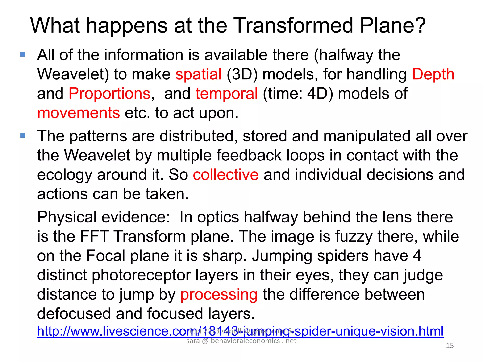 What happens at the Transformed Plane?
 All of the information is available there (halfway the
  Weavelet) to make spatial (3D) models, for handling Depth
  and Proportions, and temporal (time: 4D) models of
  movements etc. to act upon.
 The patterns are distributed, stored and manipulated all over
  the Weavelet by multiple feedback loops in contact with the
  ecology around it. So collective and individual decisions and
  actions can be taken.
  Physical evidence: In optics halfway behind the lens there
  is the FFT Transform plane. The image is fuzzy there, while
  on the Focal plane it is sharp. Jumping spiders have 4
  distinct photoreceptor layers in their eyes, they can judge
  distance to jump by processing the difference between
  defocused and focused layers.
  http://www.livescience.com/18143-jumping-spider-unique-vision.html
                           (cc) 2013 vantill @ gmail com &
                          sara @ behavioraleconomics . net
                                                                       15
 