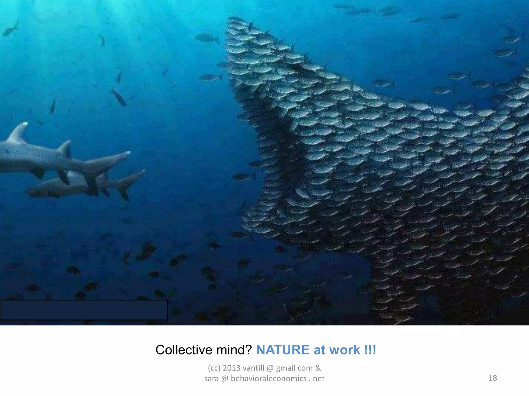 Collective mind? NATURE at work !!!
        (cc) 2013 vantill @ gmail com &
       sara @ behavioraleconomics . net   18
 