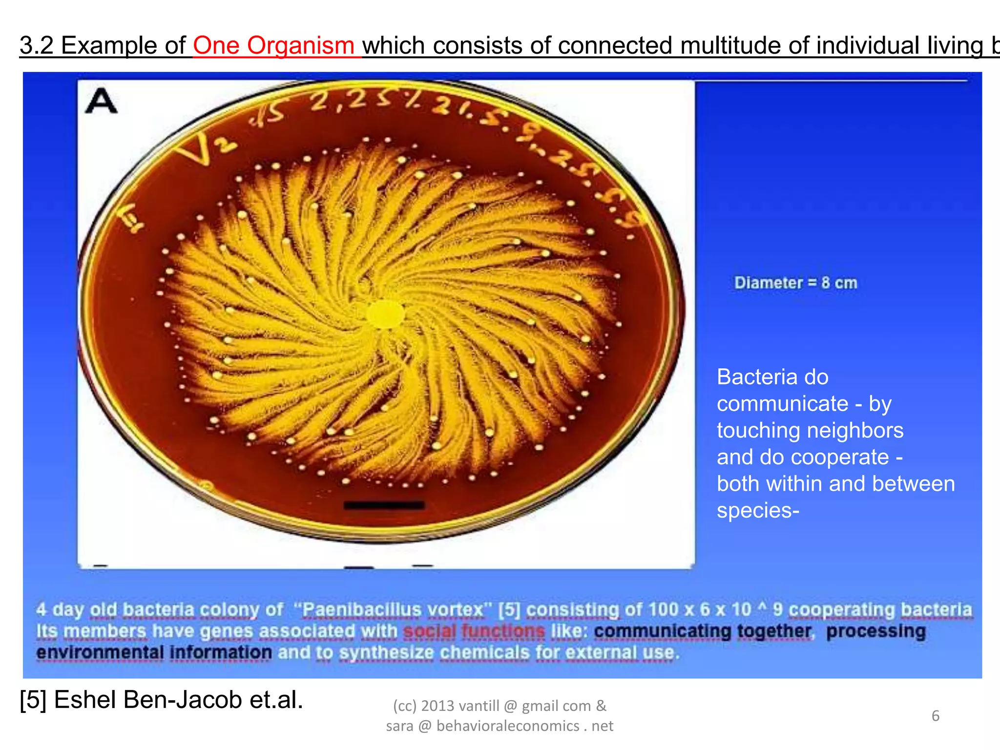 3.2 Example of One Organism which consists of connected multitude of individual living b




                                                                   Bacteria do
                                                                   communicate - by
                                                                   touching neighbors
                                                                   and do cooperate -
                                                                   both within and between
                                                                   species-




[5] Eshel Ben-Jacob et.al.       (cc) 2013 vantill @ gmail com &
                                                                                       6
                                sara @ behavioraleconomics . net
 