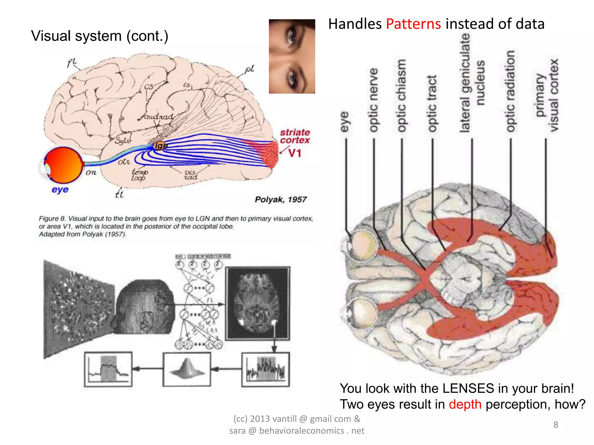 Handles Patterns instead of data
Visual system (cont.)




                                                  You look with the LENSES in your brain!
                                                  Two eyes result in depth perception, how?
                         (cc) 2013 vantill @ gmail com &
                                                                                     8
                        sara @ behavioraleconomics . net
 