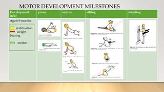 MOTOR DEVELOPMENT MILESTONES
Development
in/of
prone supine sitting standing
Age:6-9 months
stabilisation
weight
bearing
motion
 