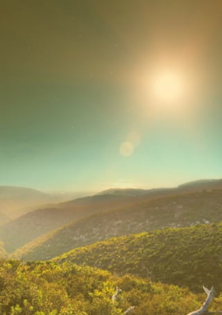 for the year ended 31 December 2017
74
Shefa Yamim  |  Annual Report & Financial Statements 2017
BUSINESS REVIEW & STRATEGIC REPORT
 