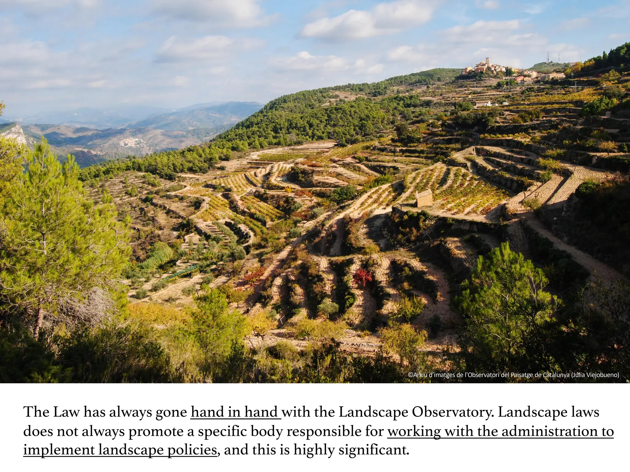 ©Arxiu d’imatges de l'Observatori del Paisatge de Catalunya (Júlia Viejobueno)
The Law has always gone hand in hand with the Landscape Observatory. Landscape laws
does not always promote a specific body responsible for working with the administration to
implement landscape policies, and this is highly significant.
 