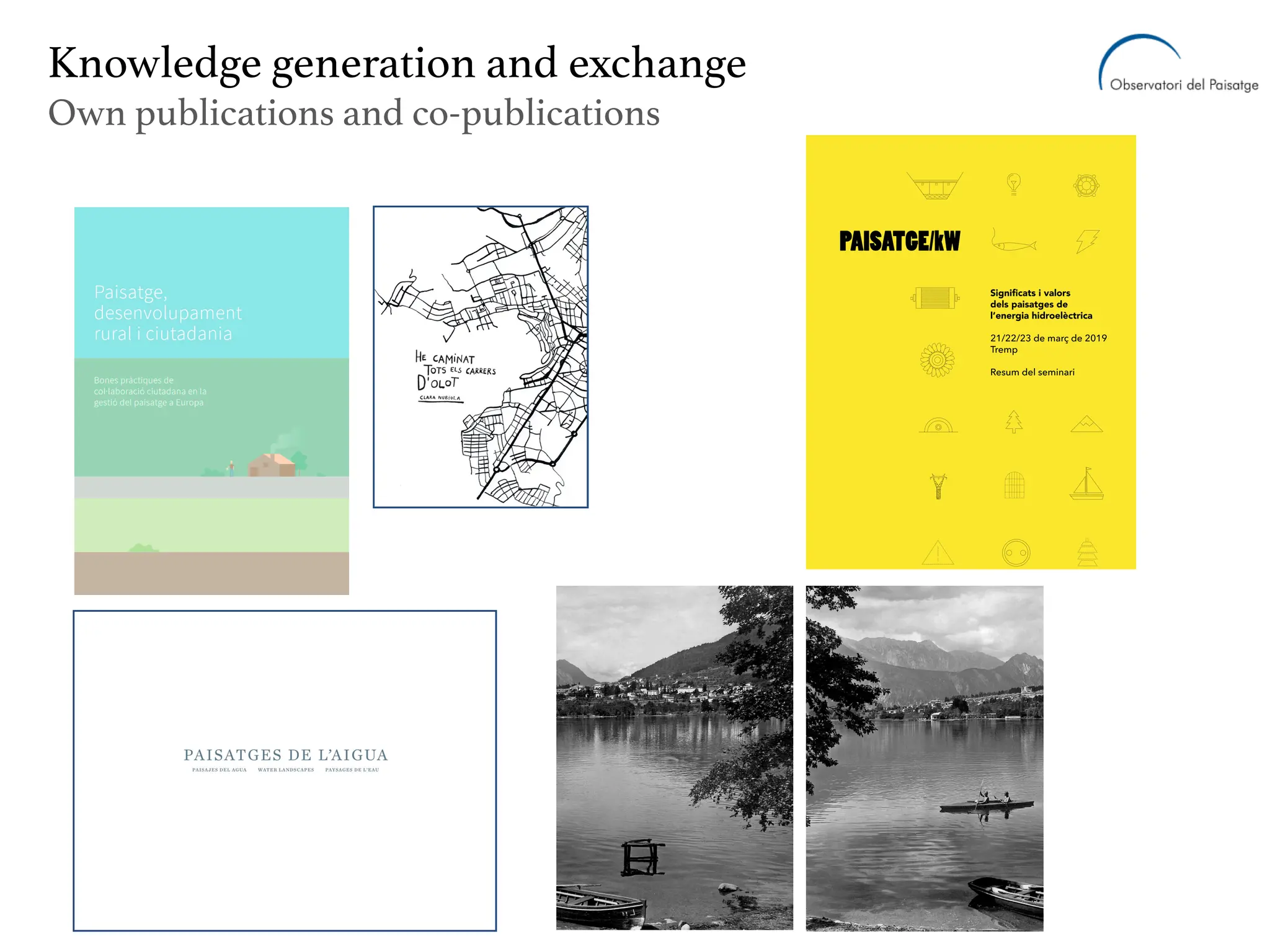 Knowledge generation and exchange
Own publications and co-publications
 
