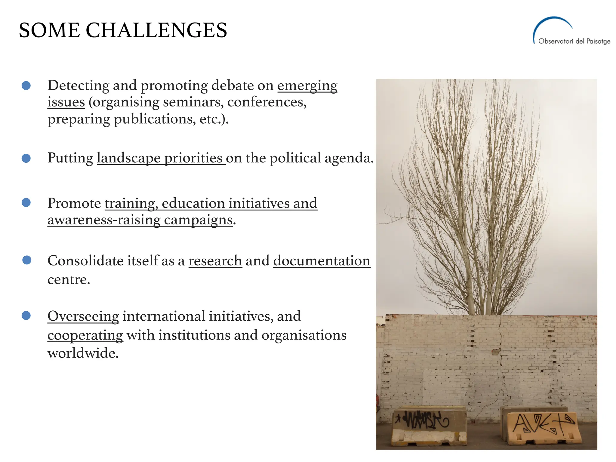 Detecting and promoting debate on emerging
issues (organising seminars, conferences,
preparing publications, etc.).
Putting landscape priorities on the political agenda.
Promote training, education initiatives and
awareness-raising campaigns.
Consolidate itself as a research and documentation
centre.
Overseeing international initiatives, and
cooperating with institutions and organisations
worldwide.
SOME CHALLENGES
 