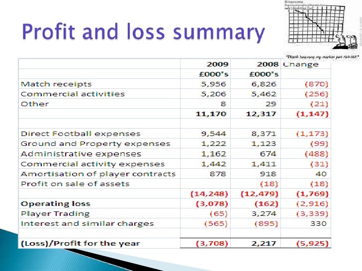 profit and loss summary