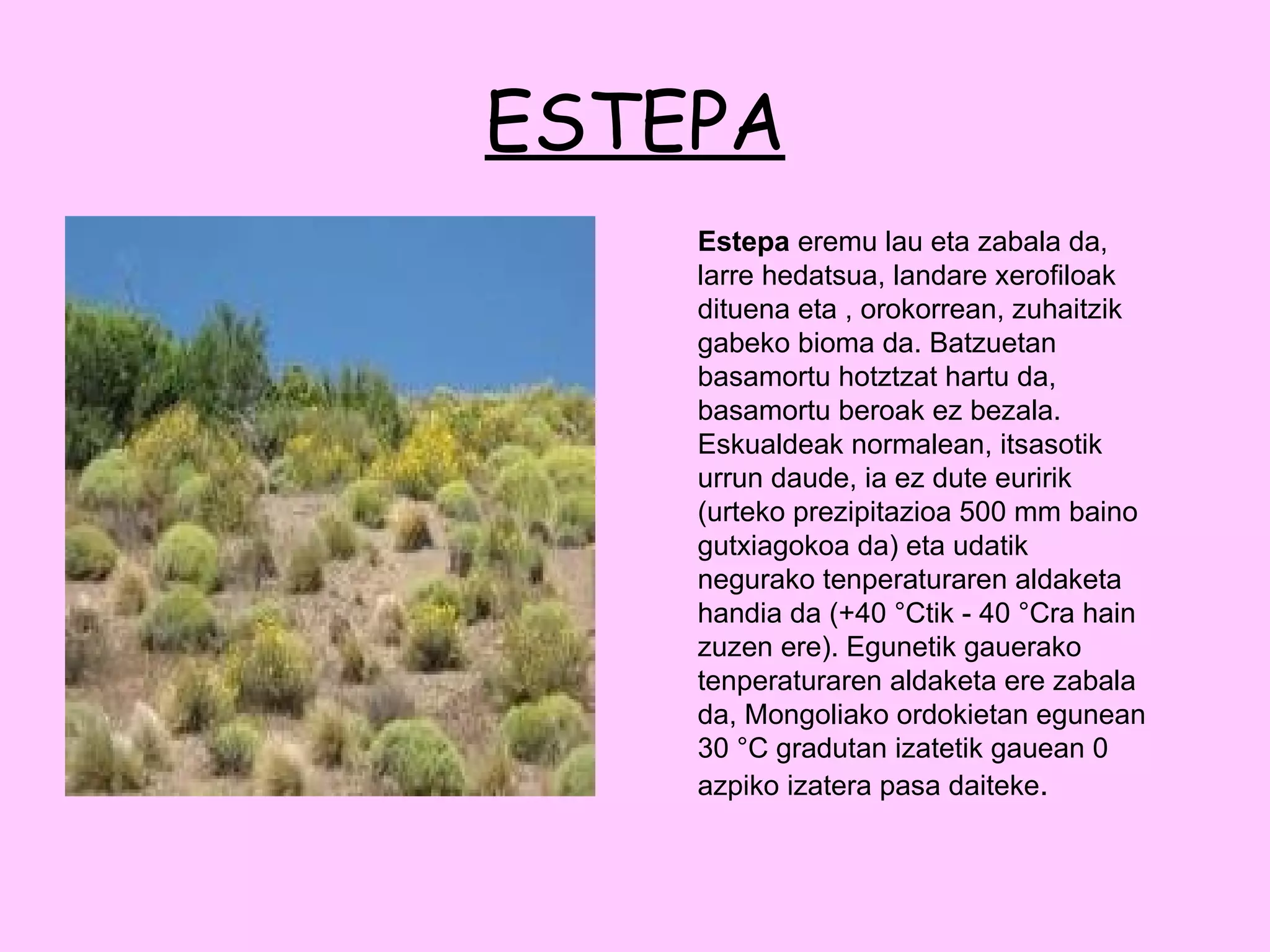 ESTEPA Estepa  eremu lau eta zabala da, larre hedatsua, landare xerofiloak dituena eta , orokorrean, zuhaitzik gabeko bioma da. Batzuetan basamortu hotztzat hartu da, basamortu beroak ez bezala. Eskualdeak normalean, itsasotik urrun daude, ia ez dute euririk (urteko prezipitazioa 500 mm baino gutxiagokoa da) eta udatik negurako tenperaturaren aldaketa handia da (+40 °Ctik - 40 °Cra hain zuzen ere). Egunetik gauerako tenperaturaren aldaketa ere zabala da, Mongoliako ordokietan egunean 30 °C gradutan izatetik gauean 0 azpiko izatera pasa daiteke . 