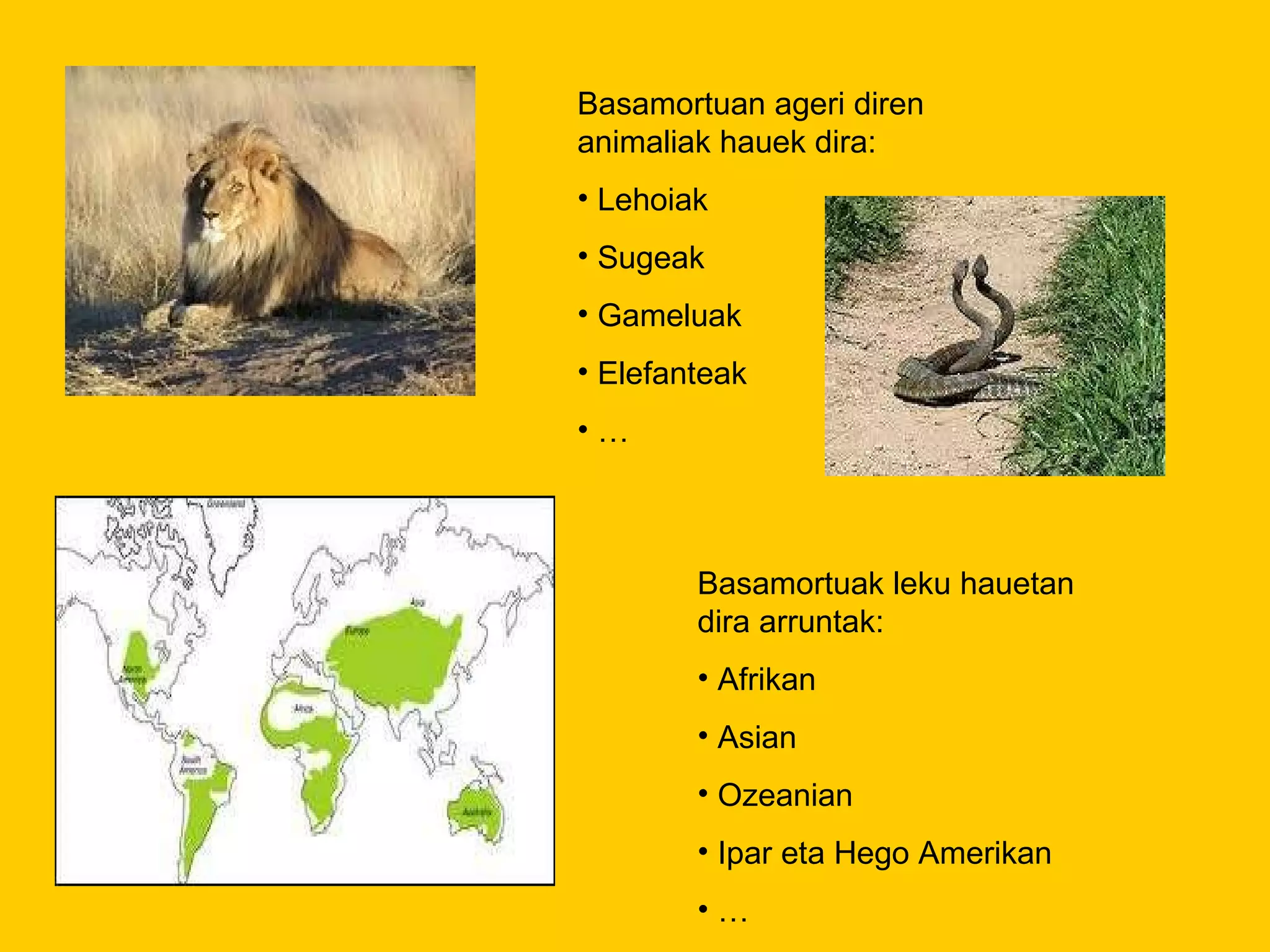 Basamortuan ageri diren animaliak hauek dira: Lehoiak Sugeak Gameluak Elefanteak … Basamortuak leku hauetan dira arruntak: Afrikan Asian Ozeanian Ipar eta Hego Amerikan … 