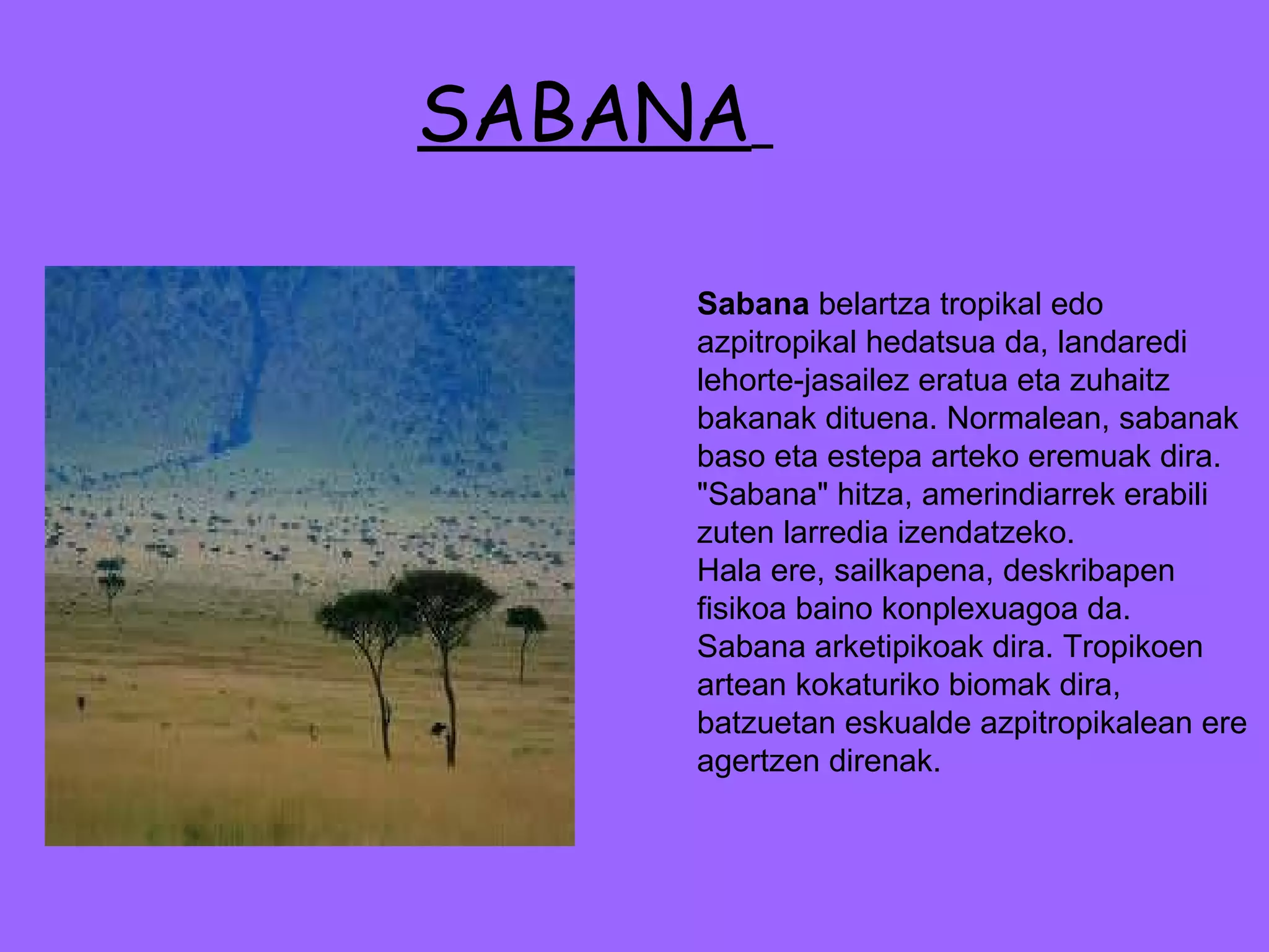 SABANA   Sabana  belartza tropikal edo azpitropikal hedatsua da, landaredi lehorte-jasailez eratua eta zuhaitz bakanak dituena. Normalean, sabanak baso eta estepa arteko eremuak dira. "Sabana" hitza, amerindiarrek erabili zuten larredia izendatzeko. Hala ere, sailkapena, deskribapen fisikoa baino konplexuagoa da. Sabana arketipikoak dira. Tropikoen artean kokaturiko biomak dira, batzuetan eskualde azpitropikalean ere agertzen direnak. 