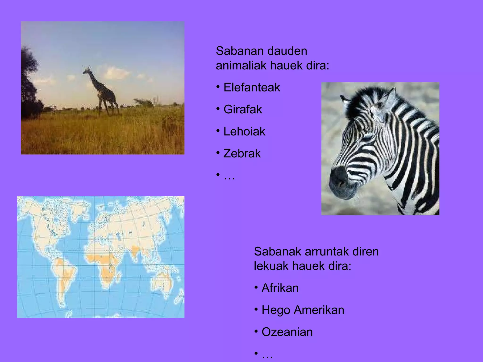Sabanan dauden animaliak hauek dira: Elefanteak Girafak Lehoiak Zebrak … Sabanak arruntak diren lekuak hauek dira: Afrikan  Hego Amerikan Ozeanian … 