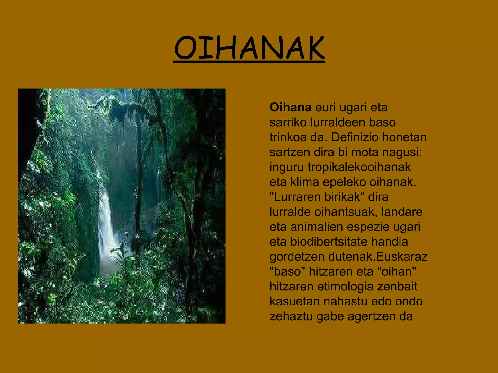 OIHANAK Oihana  euri ugari eta sarriko lurraldeen baso trinkoa da. Definizio honetan sartzen dira bi mota nagusi: inguru tropikalekooihanak eta klima epeleko oihanak. "Lurraren birikak" dira lurralde oihantsuak, landare eta animalien espezie ugari eta biodibertsitate handia gordetzen dutenak.Euskaraz "baso" hitzaren eta "oihan" hitzaren etimologia zenbait kasuetan nahastu edo ondo zehaztu gabe agertzen da  