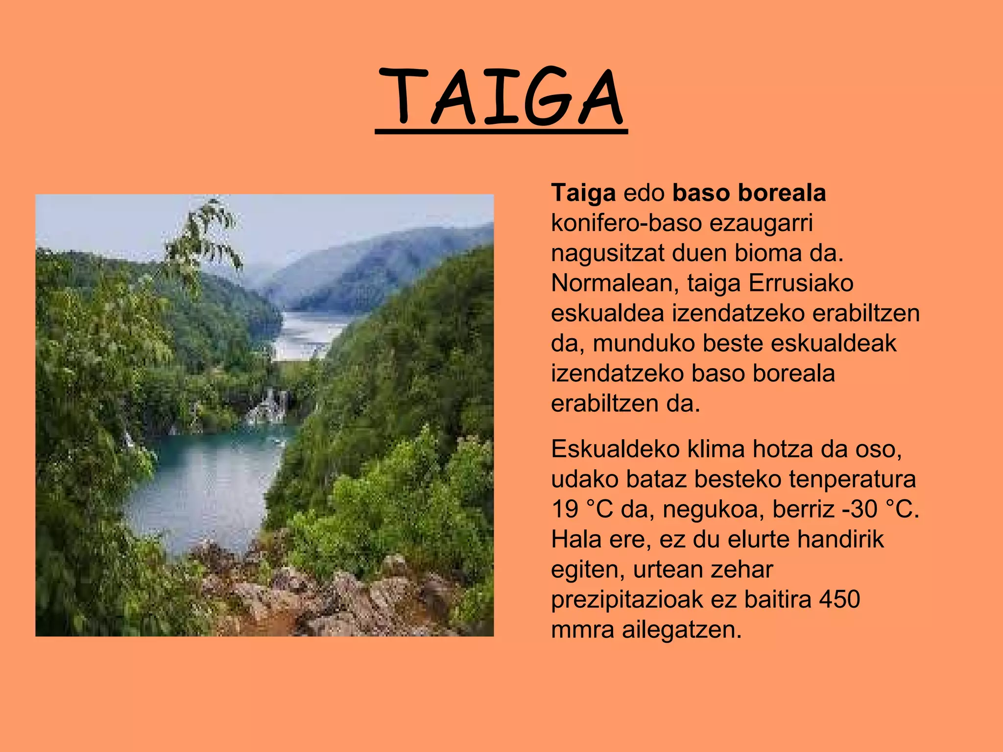 TAIGA Taiga  edo  baso boreala  konifero-baso ezaugarri nagusitzat duen bioma da. Normalean, taiga Errusiako eskualdea izendatzeko erabiltzen da, munduko beste eskualdeak izendatzeko baso boreala erabiltzen da.  Eskualdeko klima hotza da oso, udako bataz besteko tenperatura 19 °C da, negukoa, berriz -30 °C. Hala ere, ez du elurte handirik egiten, urtean zehar prezipitazioak ez baitira 450 mmra ailegatzen. 