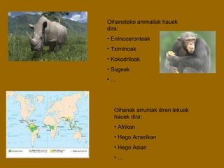 Oihanetako animaliak hauek dira: Errinozeronteak Tximinoak Kokodriloak Sugeak … Oihanak arruntak diren lekuak hauek dira: Afrikan Hego Amerikan Hego Asian … 