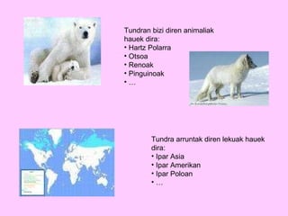 Tundran bizi diren animaliak hauek dira: Hartz Polarra Otsoa Renoak Pinguinoak … Tundra arruntak diren lekuak hauek dira: Ipar Asia Ipar Amerikan Ipar Poloan … 
