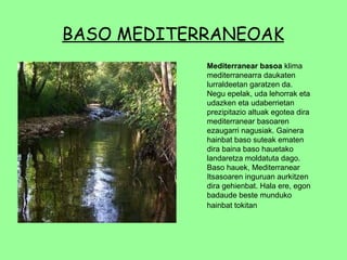 BASO MEDITERRANEOAK Mediterranear basoa  klima mediterranearra daukaten lurraldeetan garatzen da. Negu epelak, uda lehorrak eta udazken eta udaberrietan prezipitazio altuak egotea dira mediterranear basoaren ezaugarri nagusiak. Gainera hainbat baso suteak ematen dira baina baso hauetako landaretza moldatuta dago. Baso hauek, Mediterranear Itsasoaren inguruan aurkitzen dira gehienbat. Hala ere, egon badaude beste munduko hainbat tokitan   