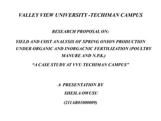 VALLEY VIEW UNIVERSITY -TECHIMAN CAMPUS
RESEARCH PROPOSAL ON:

YIELD AND COST ANALYSIS OF SPRING ONION PRODUCTION
UNDER ORGANIC AND INORGACNIC FERTILIZATION (POULTRY
MANURE AND N.P.K.)
“A CASE STUDY AT VVU TECHIMAN CAMPUS”

A PRESENTATION BY
SHEILA OWUSU
(211AB01000009)

 