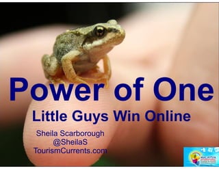 Power of One
 Little Guys Win Online
  Sheila Scarborough
       @SheilaS
 TourismCurrents.com
 