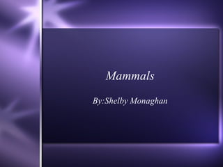 Mammals By:Shelby Monaghan 