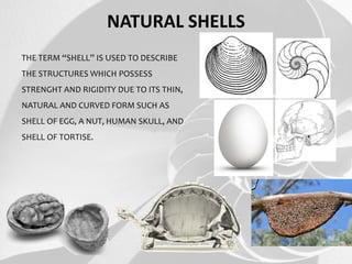 Man Made Shell Structures Examples