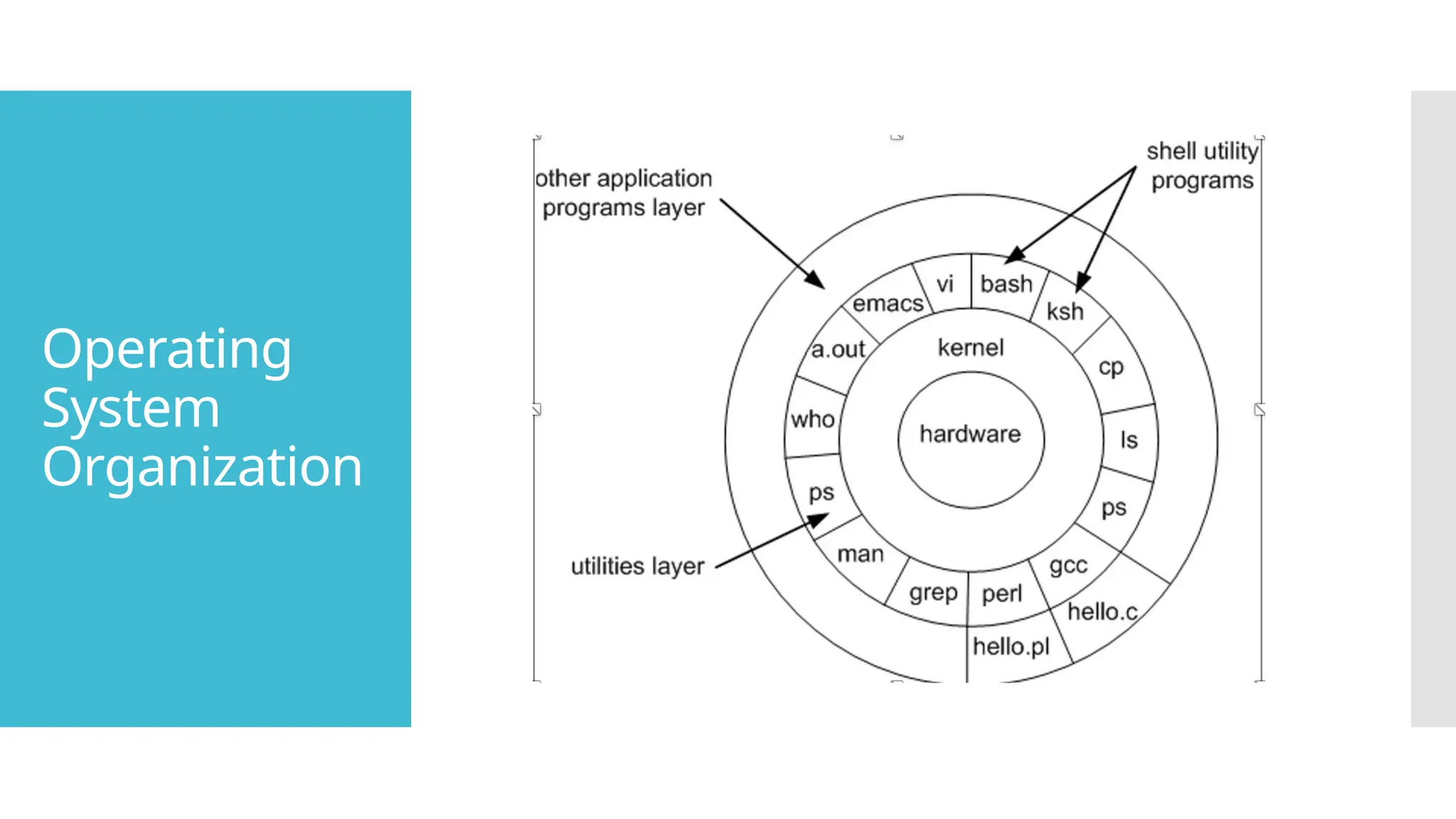 Operating
System
Organization
 