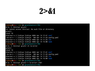 Shell basic | PDF
