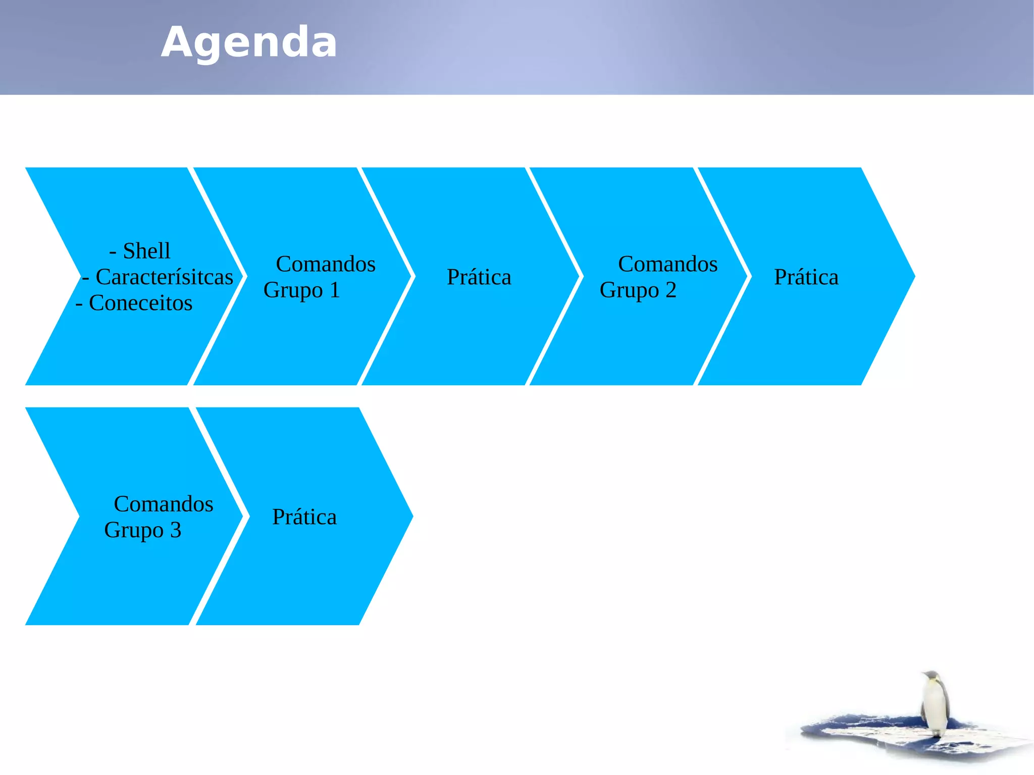 Linux - Shell e Comandos Básicos